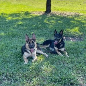 Meet your Posher, Mai